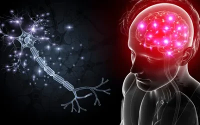 What Is Neural Therapy?